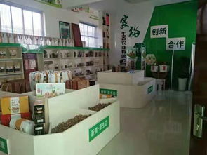 隴小南電商雙十一狂歡盛宴 開(kāi)啟食品互聯(lián)網(wǎng)銷售新體驗(yàn)