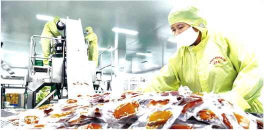 地瓜加工“煤改電”提檔升級促增收  食品互聯(lián)網(wǎng)銷售開辟新通道
